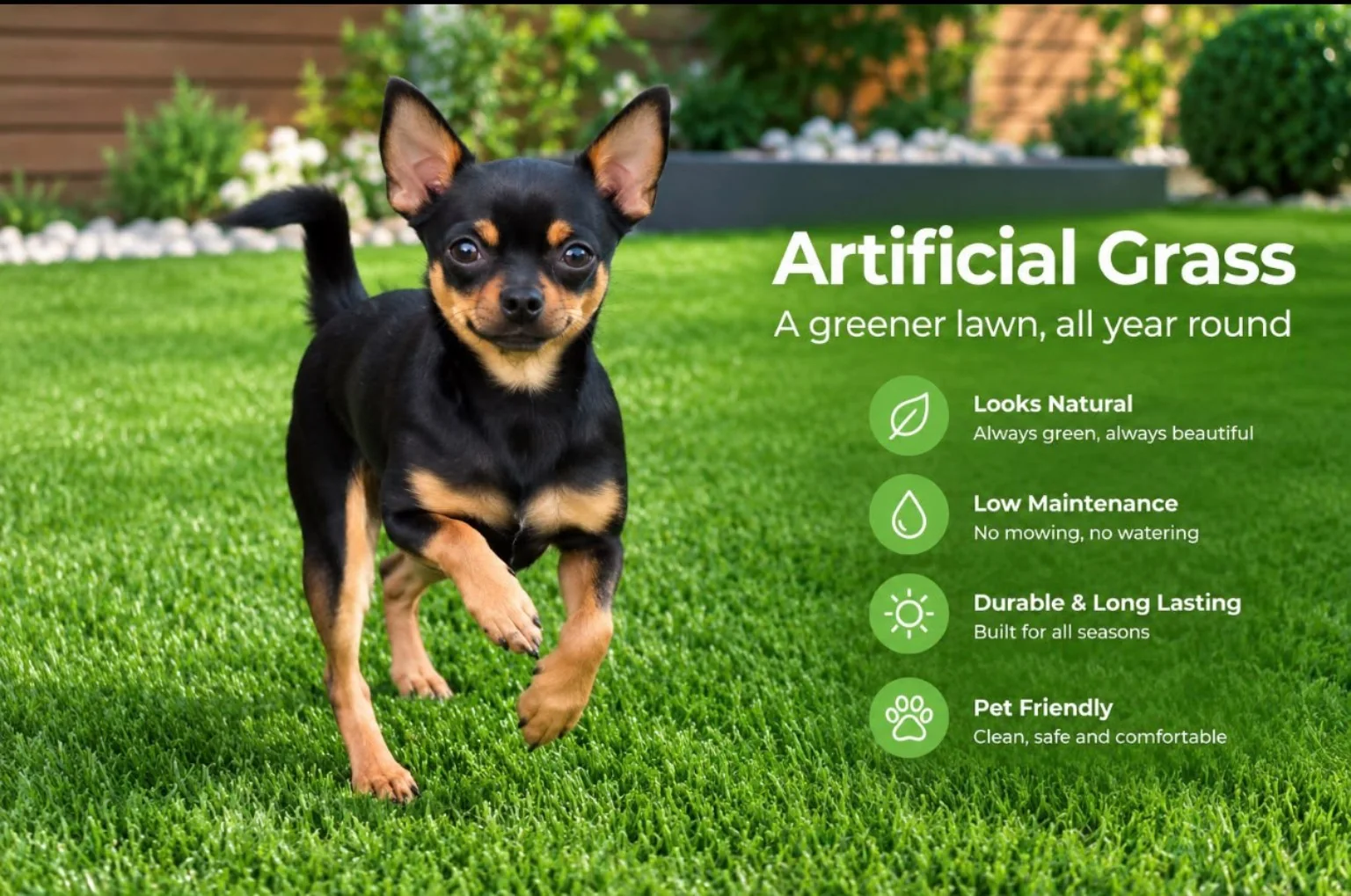 Dog on an artificial lawn. Artificial grass: a greener lawn all year round, with a natural look, low maintenance, durability and pet-friendly use.